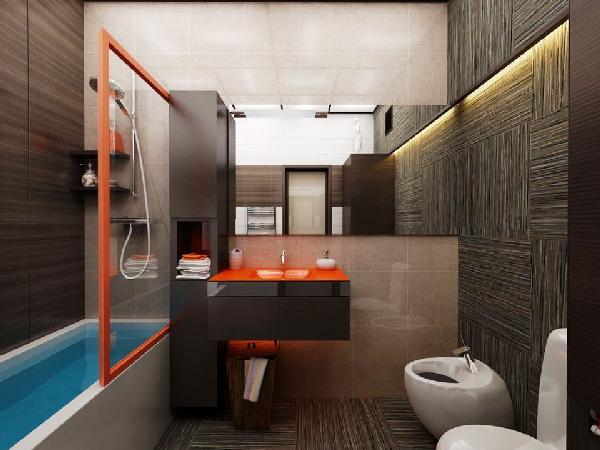 Интерьеры смежных санузлов. Совмещенный санузел: дизайн интерьера, большой фото обзор